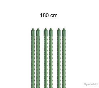210985 Pflanzstab 180.jpg